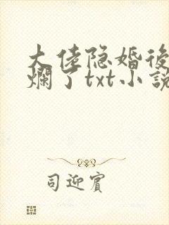 大佬隐婚后我摆烂了txt小说