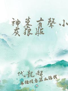 神墓有声小说大灰狼版