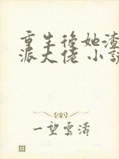 重生后她渣了反派大佬 小说