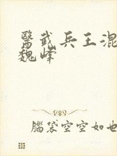 医武兵王混乡村魏峰