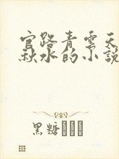 官路青云天骄余秋水的小说