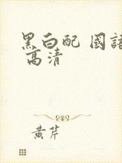 黑白配 国语版 高清