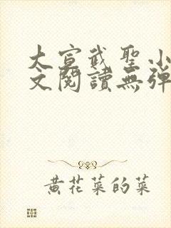 大宣武圣小说全文阅读无弹窗