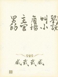 男主角叫刘志中的官场小说