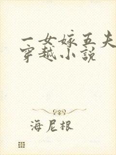 一女嫁五夫姓苏穿越小说