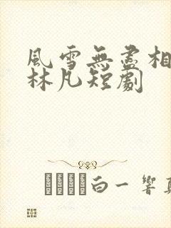 风雪无尽相思情林凡短剧