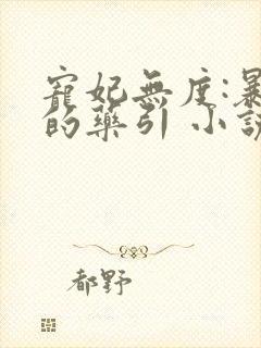 宠妃无度:暴君的药引 小说下载txt