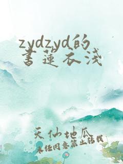 zydzyd的书莲衣浅