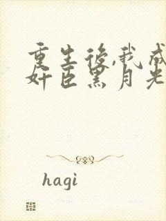 重生后,我成了奸臣黑月光