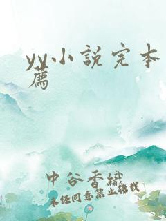 yy小说完本推荐