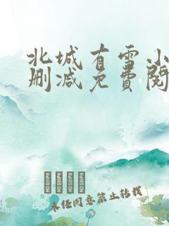 北城有雪小说无删减免费阅读