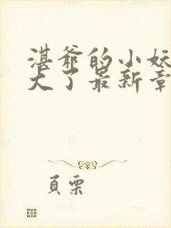 湛爷的小妖精长大了最新章节