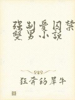 强制爱囚禁调教双男小说