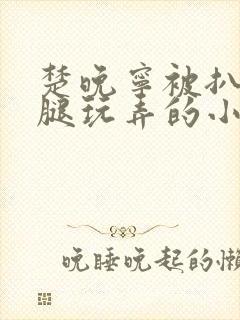 楚晚宁被扒开双腿玩弄的小说