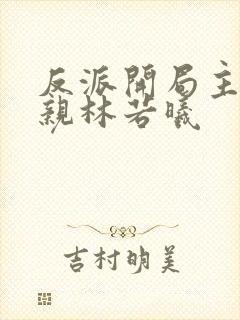 反派开局主角母亲林若曦