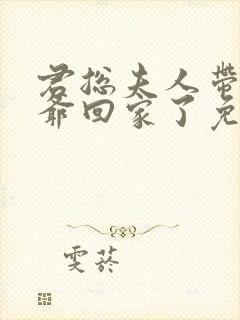 君总夫人带着少爷回家了免费观看