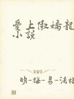 爱上傲娇龙王爷小说