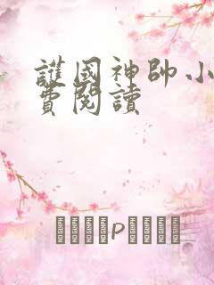 护国神帅小说免费阅读