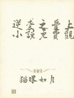 逆袭之爱上情敌小说免费观看柴鸡蛋