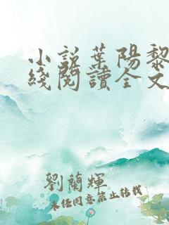 小说叶阳黎洁在线阅读全文