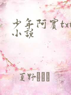 少年阿宾txt小说