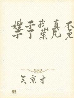 嫂子我真不是傻子了叶凡免费阅读全文