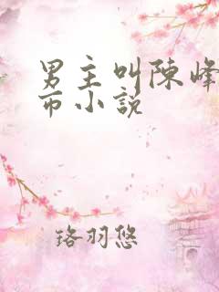 男主叫陈峰的都市小说