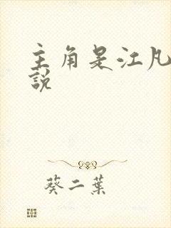 主角是江凡的小说