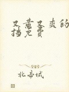 又黄又爽的无遮挡免费