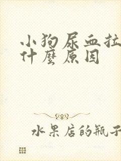 小狗尿血拉血是什么原因