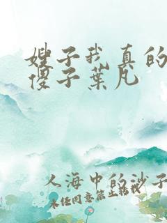 嫂子我真的不是傻子叶凡