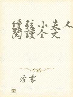 续弦小夫人小说阅读全文