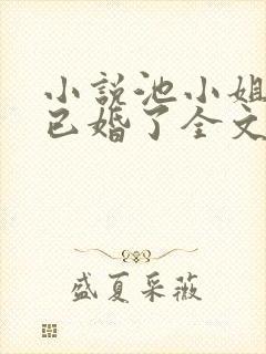 小说池小姐,你已婚了全文