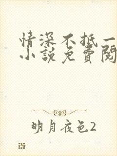 情深不抵一场错小说免费阅读全文