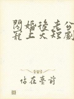 闪婚后老公把我宠上天短剧免费观看