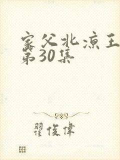 家父北凉王短剧第30集