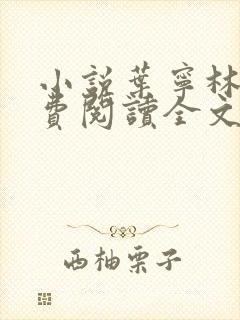 小说叶宁林雪免费阅读全文