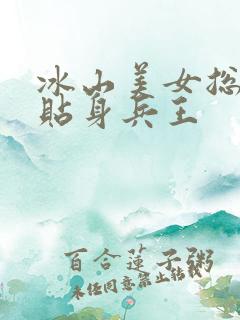 冰山美女总裁的贴身兵王