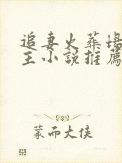 追妻火葬场双男主小说推荐