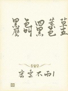 黑色四叶草为什么叫黑色五叶草