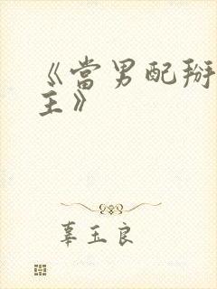 《当男配掰弯男主》