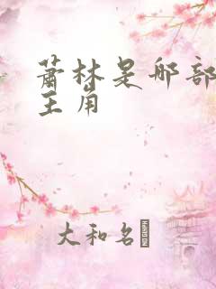 萧林是哪部小说主角