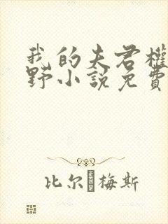 我的夫君权倾朝野小说免费阅读全文