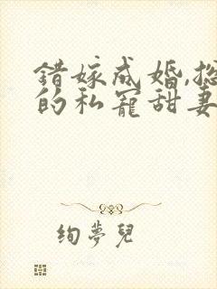 错嫁成婚,总裁的私宠甜妻