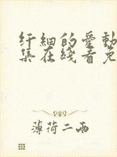 纤细的爱动漫全集在线看免费观看