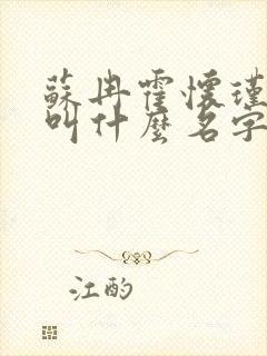 苏冉霍怀瑾小说叫什么名字来着