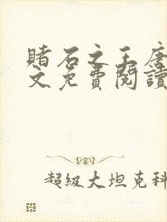 赌石之王唐飞全文免费阅读