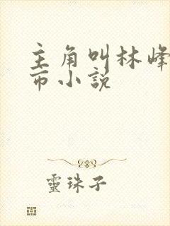 主角叫林峰的都市小说