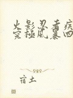 火影忍者疾风传究极风暴四