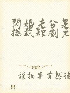 闪婚老公是亿万总裁短剧免费观看